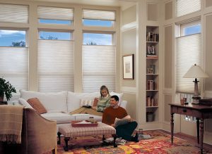 energy-efficient window treatments and insulation